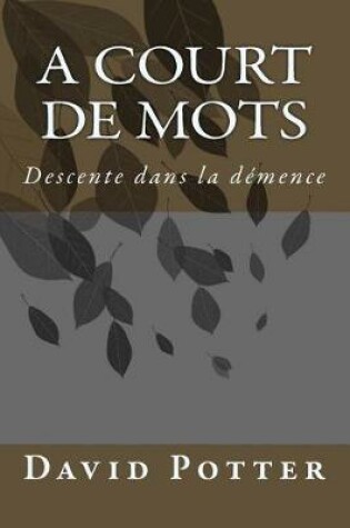 Cover of A court de mots