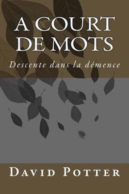 Book cover for A court de mots