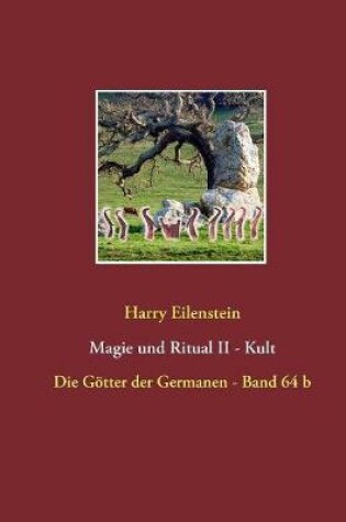 Cover of Magie und Ritual II - Kult