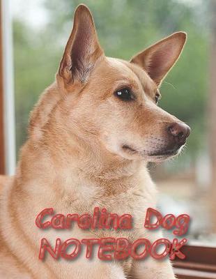 Book cover for Carolina Dog NOTEBOOK