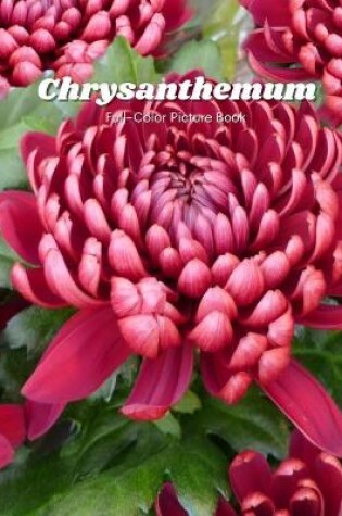 Cover of Chrysanthemum Full-Color Picture Book
