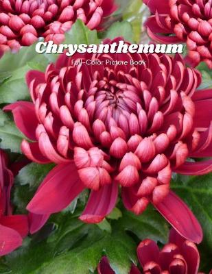 Book cover for Chrysanthemum Full-Color Picture Book