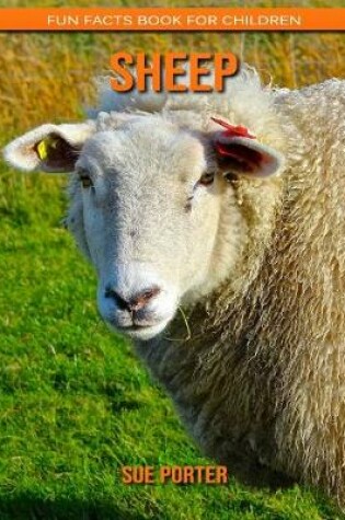 Cover of Sheep