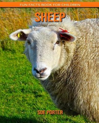 Book cover for Sheep