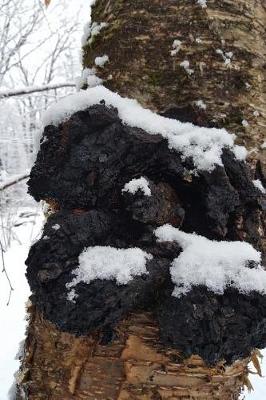 Cover of Journal Chaga Mushrooms Birch Tree Winter Snow