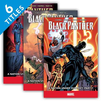 Book cover for Black Panther Set 2 (Set)