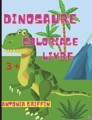 Book cover for Livre de coloriage de dinosaures