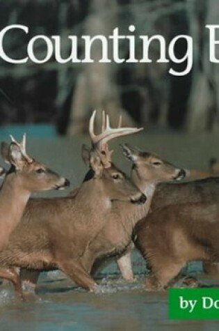 Cover of My Counting Book