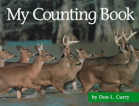 Book cover for My Counting Book