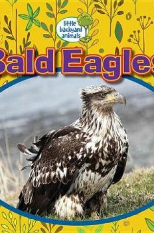 Cover of Bald Eagles