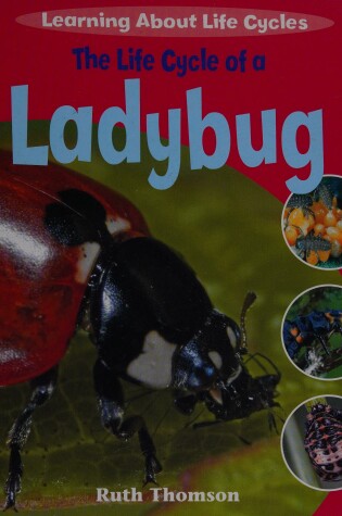 Cover of The Life Cycle of a Ladybug