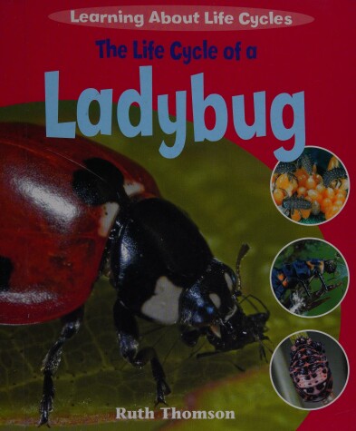 Book cover for The Life Cycle of a Ladybug