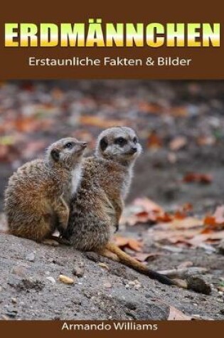 Cover of Erdmannche