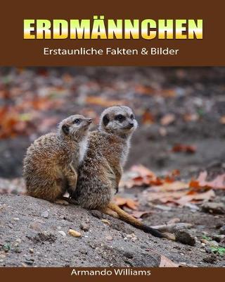 Book cover for Erdmannche