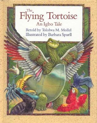 Book cover for Flying Tortoise