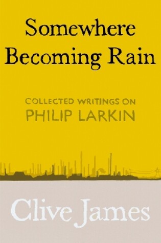 Cover of Somewhere Becoming Rain