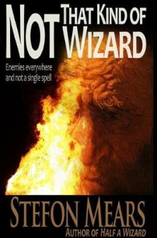 Cover of Not That Kind of Wizard