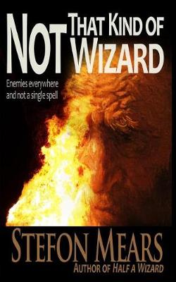 Book cover for Not That Kind of Wizard