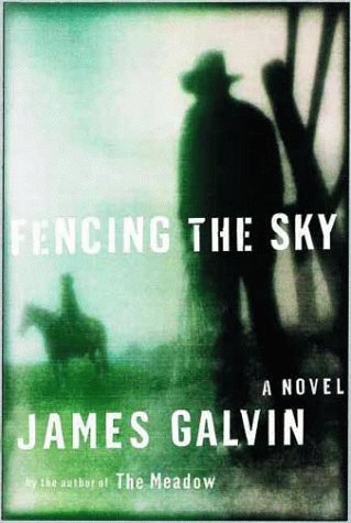 Book cover for Fencing the Sky: a Novel