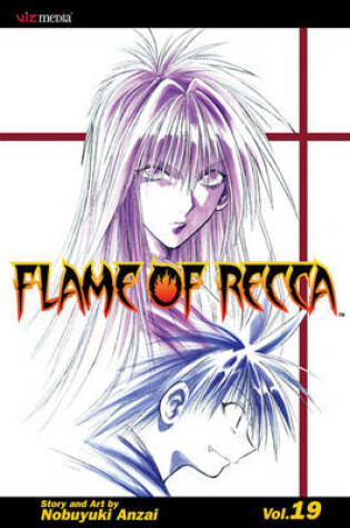 Cover of Flame of Recca, Vol. 19