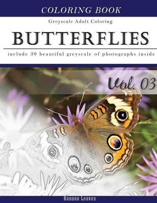 Book cover for Butterflies and Flowers