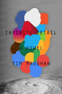 Book cover for Infinite Detail