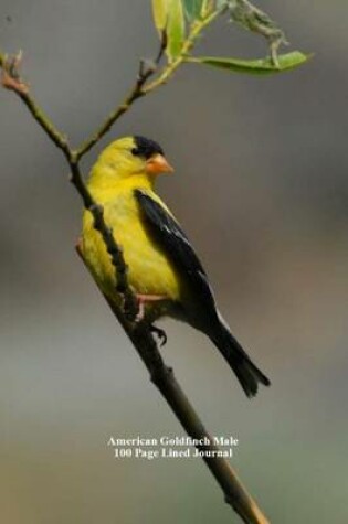 Cover of American Goldfinch Male 100 Page Lined Journal