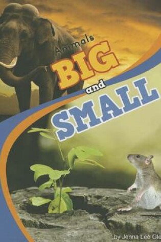 Cover of Animals Big and Small