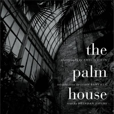 Book cover for The Palm House