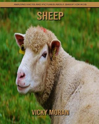 Book cover for Sheep