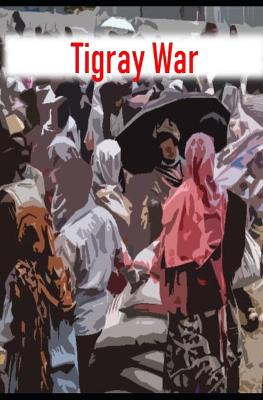 Book cover for Tigray War