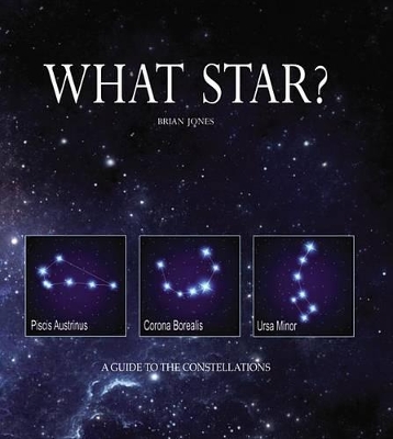 Book cover for What Star?