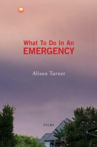 Cover of What To Do In An Emergency