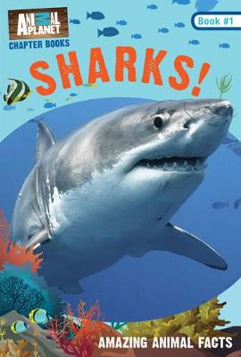 Book cover for Sharks!: Book #1