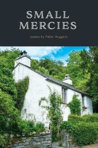 Cover of Small Mercies