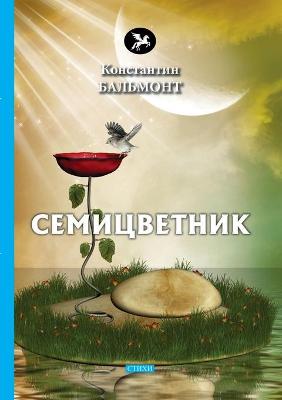 Cover of &#1057;&#1077;&#1084;&#1080;&#1094;&#1074;&#1077;&#1090;&#1085;&#1080;&#1082;