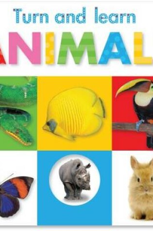 Cover of Turn and Learn Animals