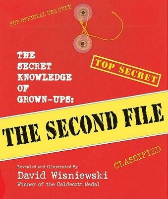 Book cover for Secret Knowledge of Grown Ups