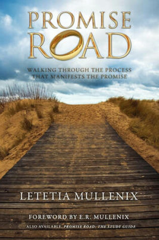 Cover of Promise Road