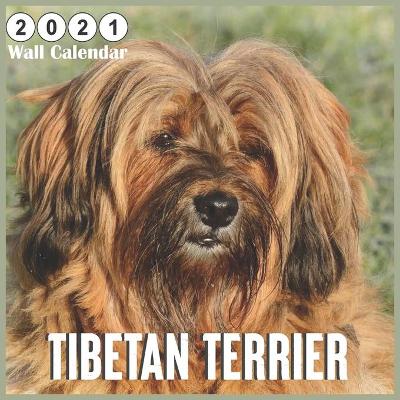 Book cover for Tibetan Terrier 2021 Wall Calendar