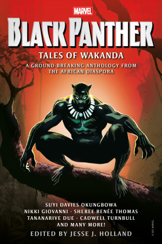 Cover of Black Panther: Tales of Wakanda