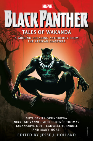 Book cover for Black Panther: Tales of Wakanda