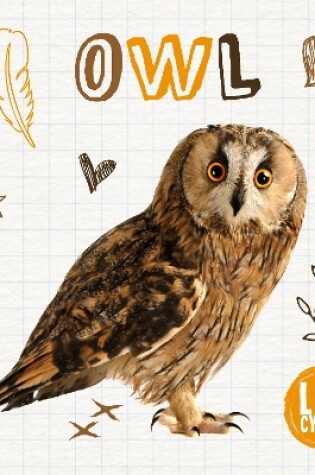 Cover of Owl