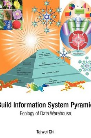 Cover of Build Information System Pyramid