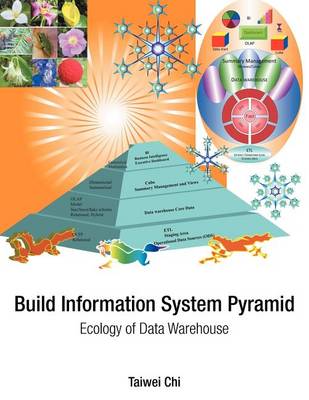 Cover of Build Information System Pyramid