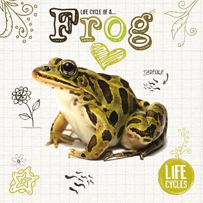 Book cover for Frog