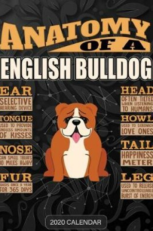 Cover of Anatomy Of A English Bulldog