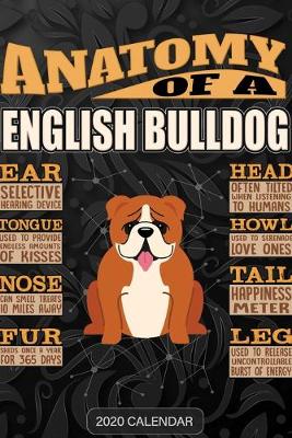 Book cover for Anatomy Of A English Bulldog