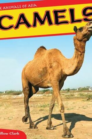 Cover of Camels