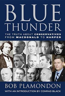 Book cover for Blue Thunder